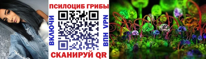 блэк спрут ONION  Феодосия  Псилоцибиновые грибы Cubensis 