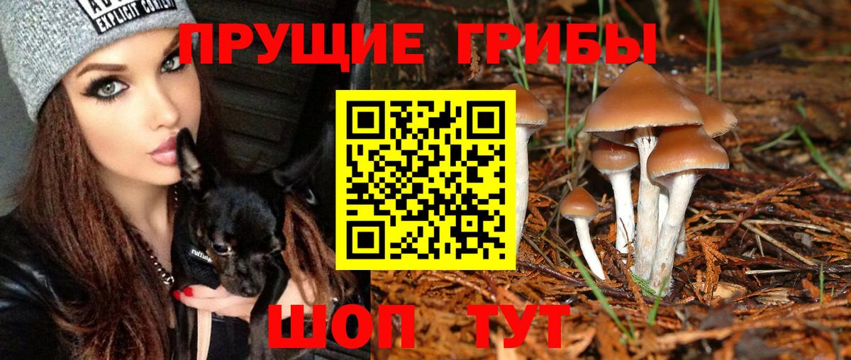 Псилоцибиновые грибы GOLDEN TEACHER Феодосия