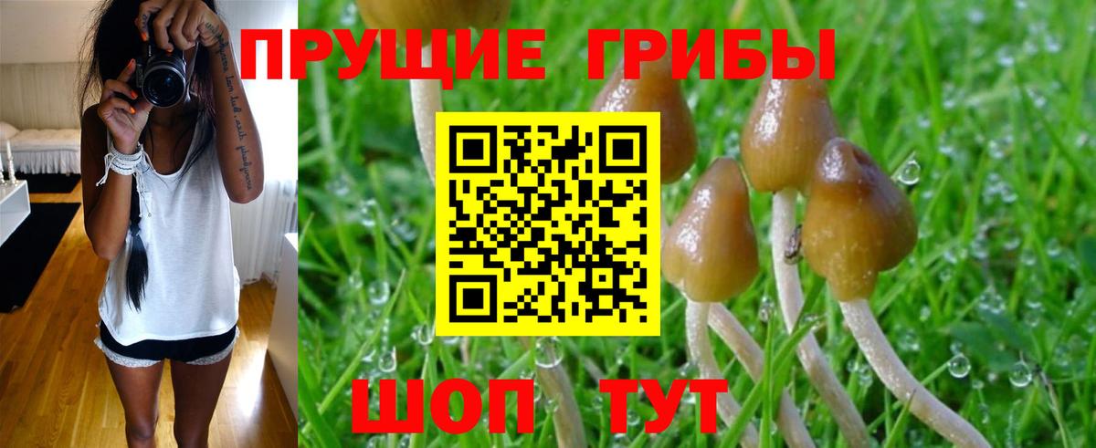Псилоцибиновые грибы MAGIC MUSHROOMS  Псилоцибиновые грибы Psilocybine cubensis  Феодосия  Вход с VPN 